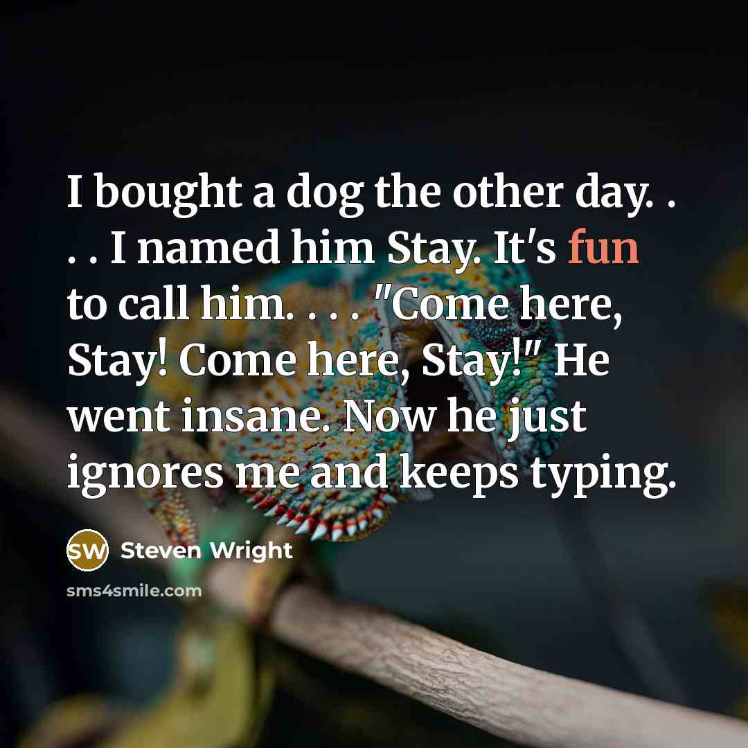 “I bought a dog the other day. . . . I named him Stay. It's fun to call him. . . . "Come here, Stay! Come here, Stay!" He went insane. Now he just ignores me and keeps typing.” quote by Steven Wright