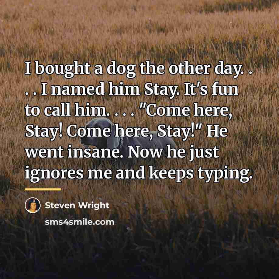 “I bought a dog the other day. . . .…” quote by Steven Wright