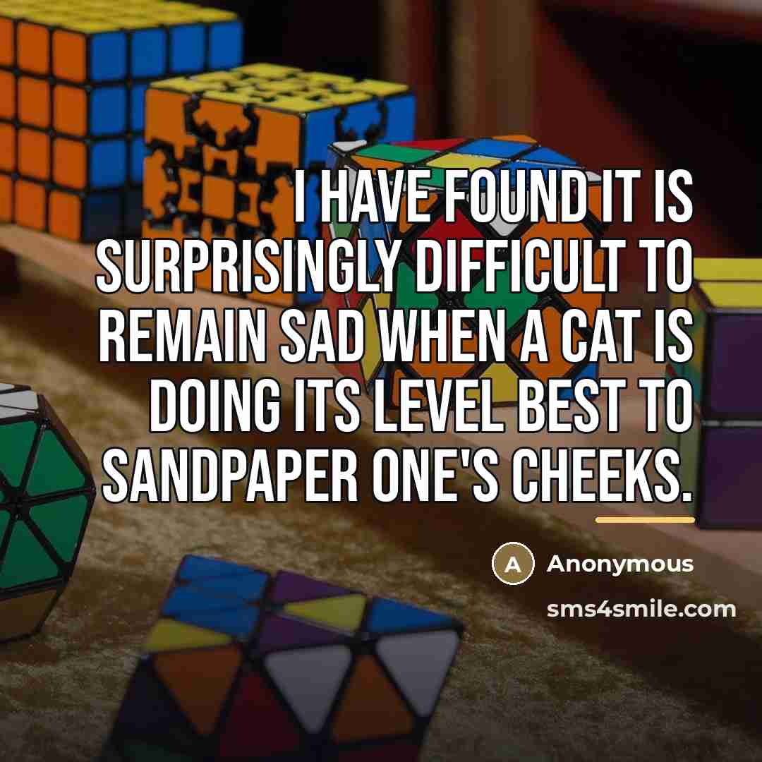 “I have found it is surprisingly difficult to remain sad…” quote by Anonymous