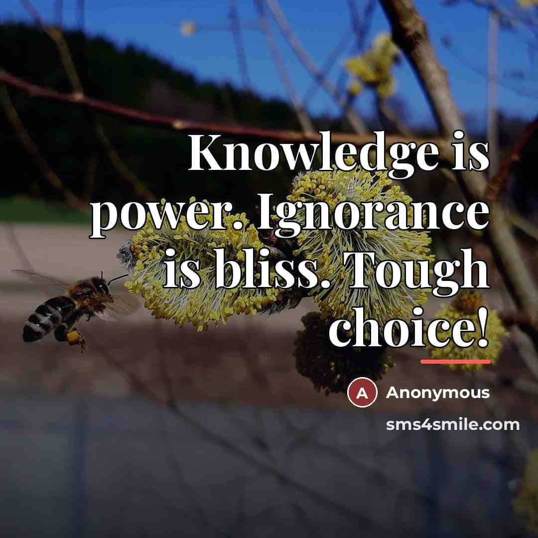 “Knowledge is power. Ignorance is bliss. Tough choice!…” quote by Anonymous