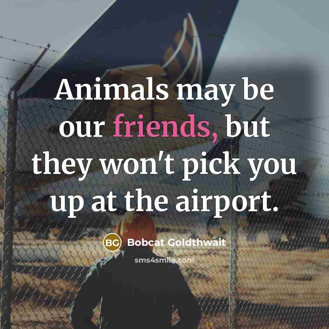 “Animals may be our friends, but they won't pick you up at the airport.” quote by Bobcat Goldthwait