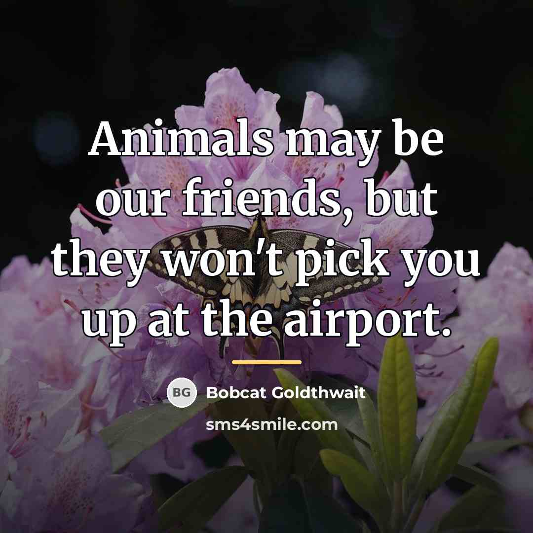 “Animals may be our friends, but they won't pick you…” quote by Bobcat Goldthwait