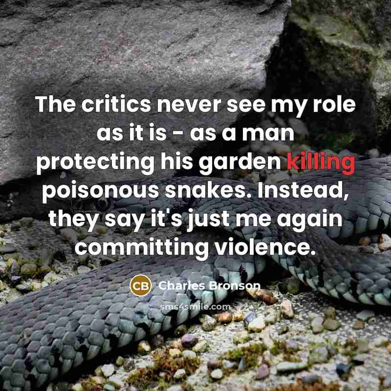 “The critics never see my role as it is -…” quote by Charles Bronson