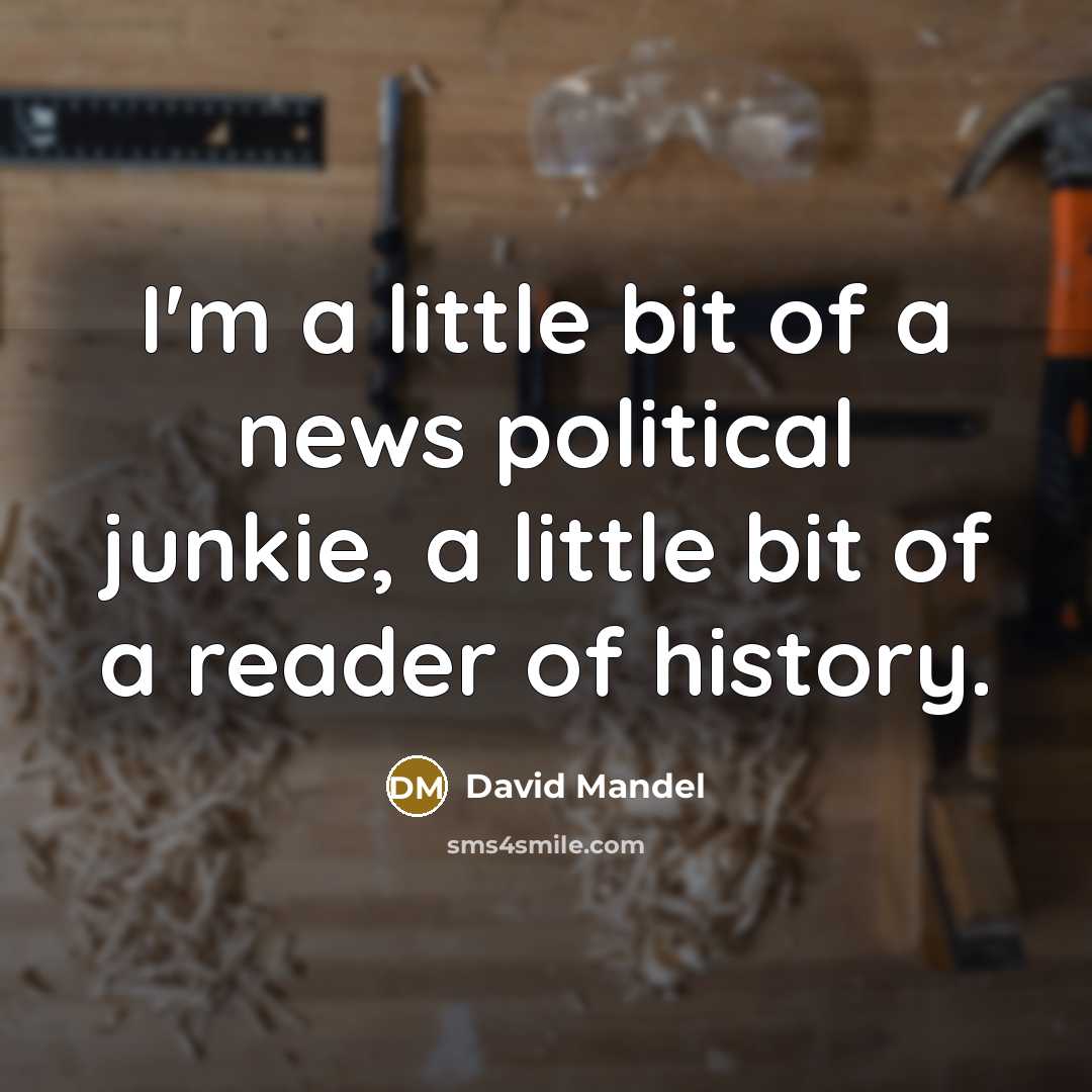 “I'm a little bit of a news political junkie, a…” quote by David Mandel