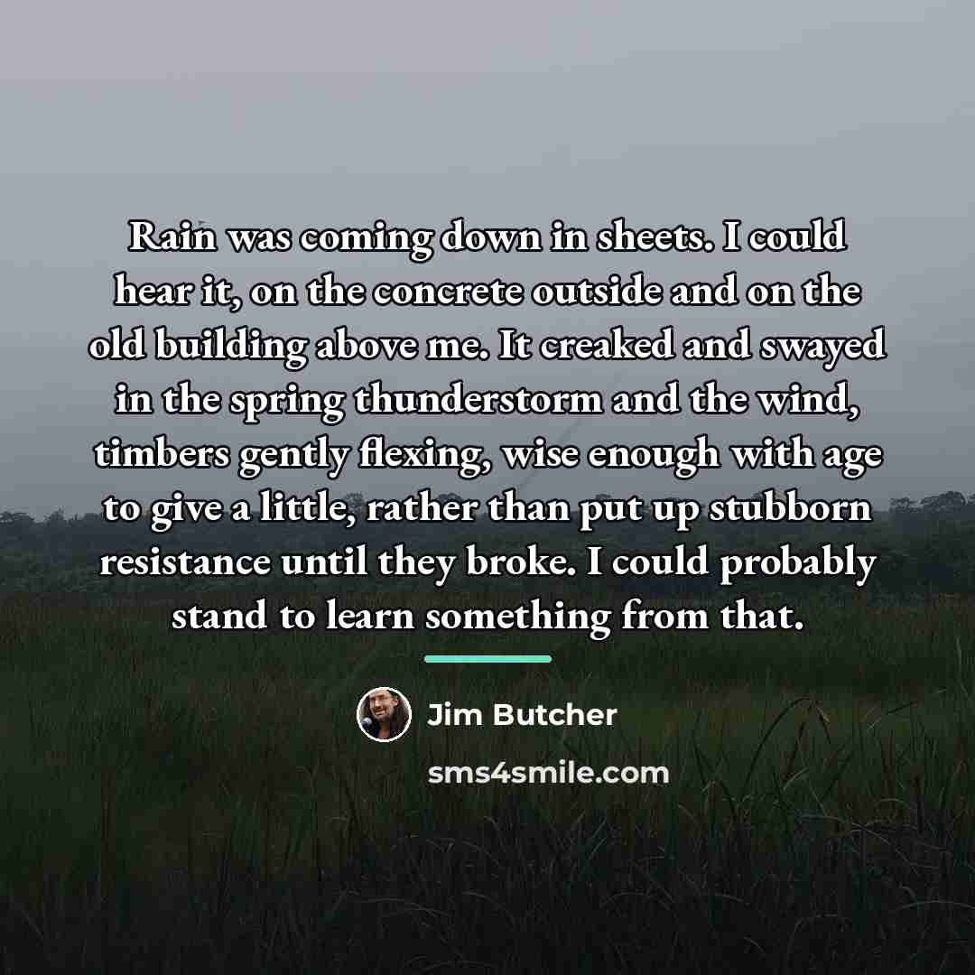 “Rain was coming down in sheets. I could hear it,…” quote by Jim Butcher