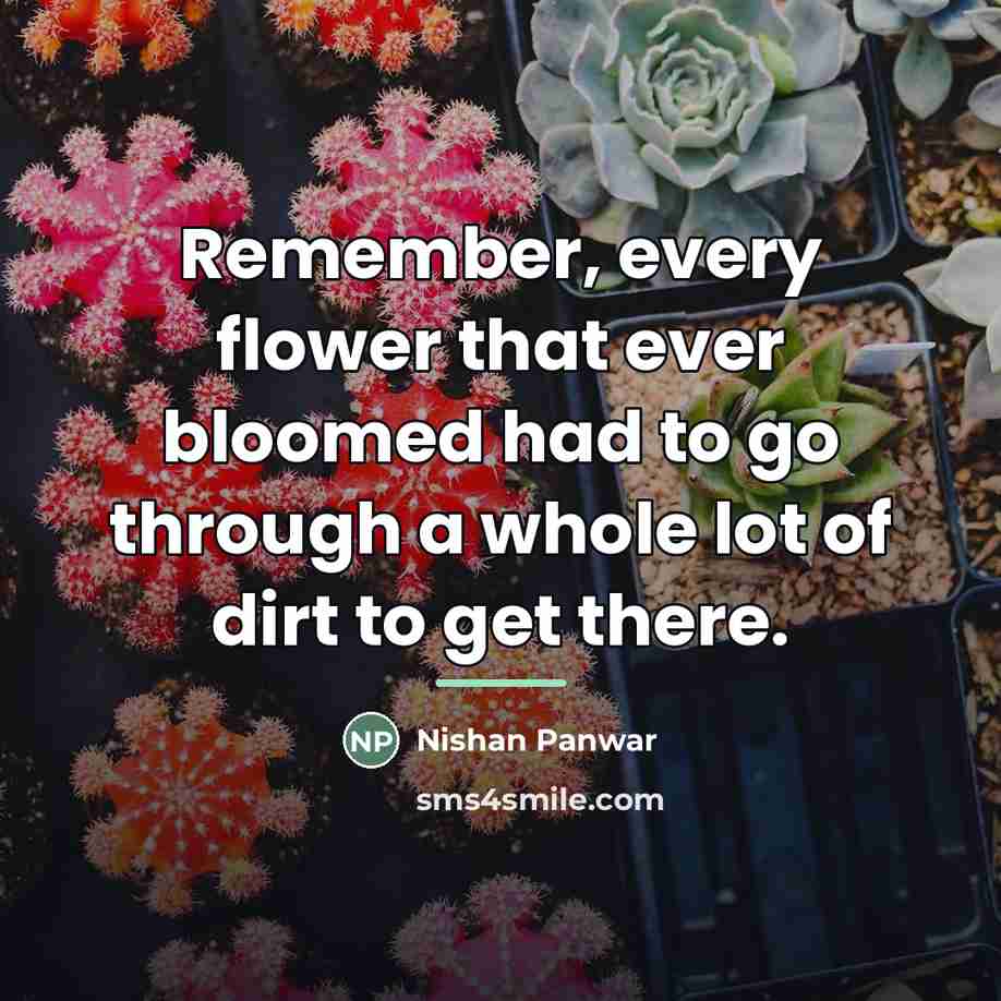 “Remember, every flower that ever bloomed had to go through…” quote by Nishan Panwar