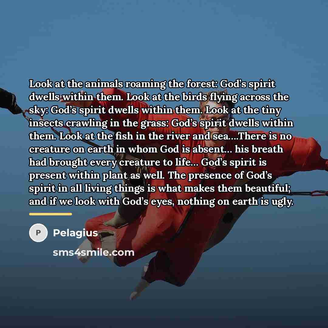 “Look at the animals roaming the forest: God’s spirit dwells…” quote by Pelagius