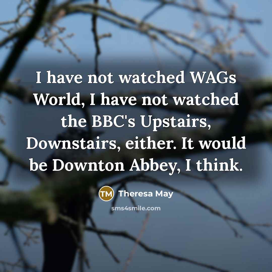 “I have not watched WAGs World, I have not watched…” quote by Theresa May