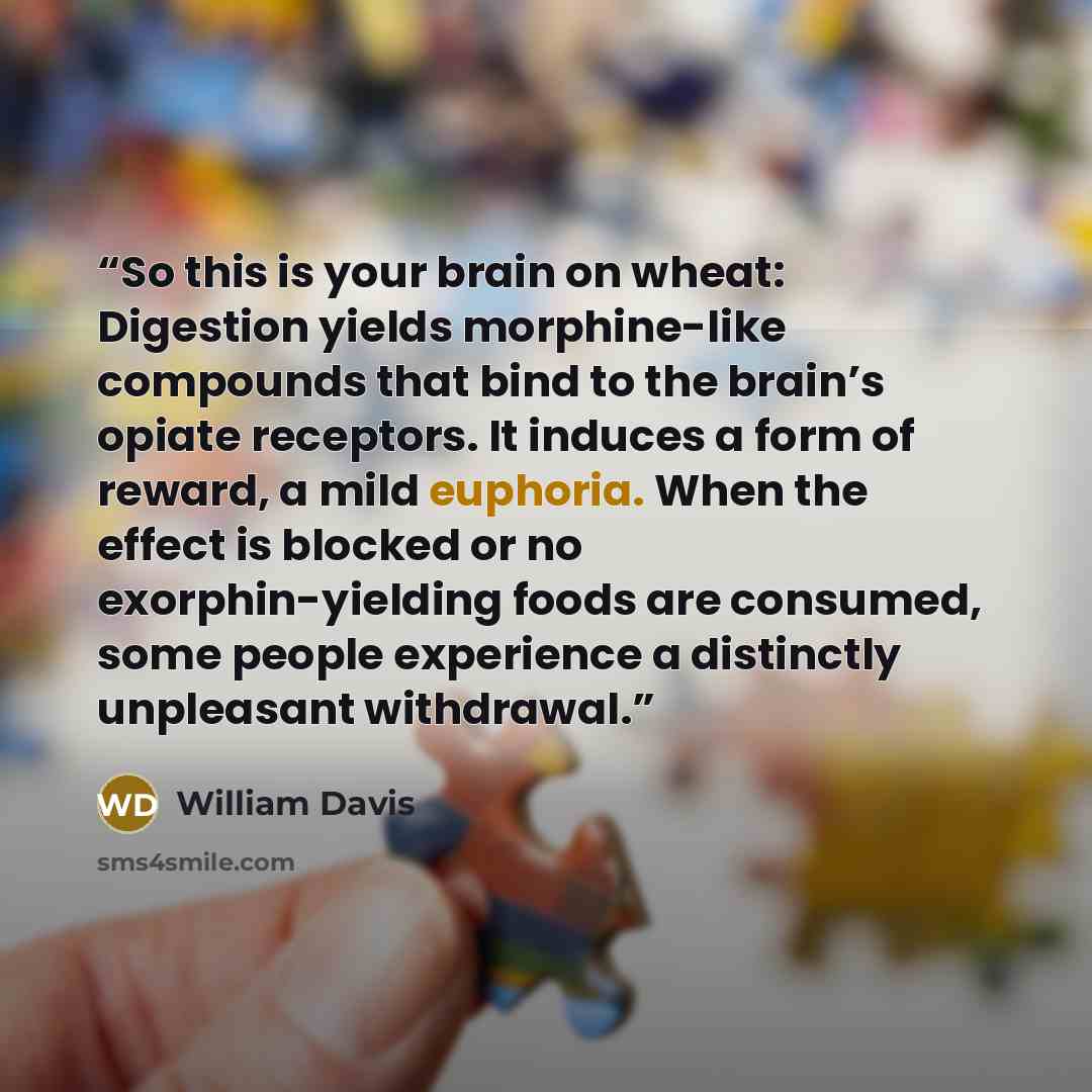 “So this is your brain on wheat: Digestion yields morphine-like compounds that bind to the brain’s opiate receptors. It induces a form of reward, a mild euphoria. When the effect is blocked or no exorphin-yielding foods are consumed, some people experience a distinctly unpleasant withdrawal.” quote by William Davis