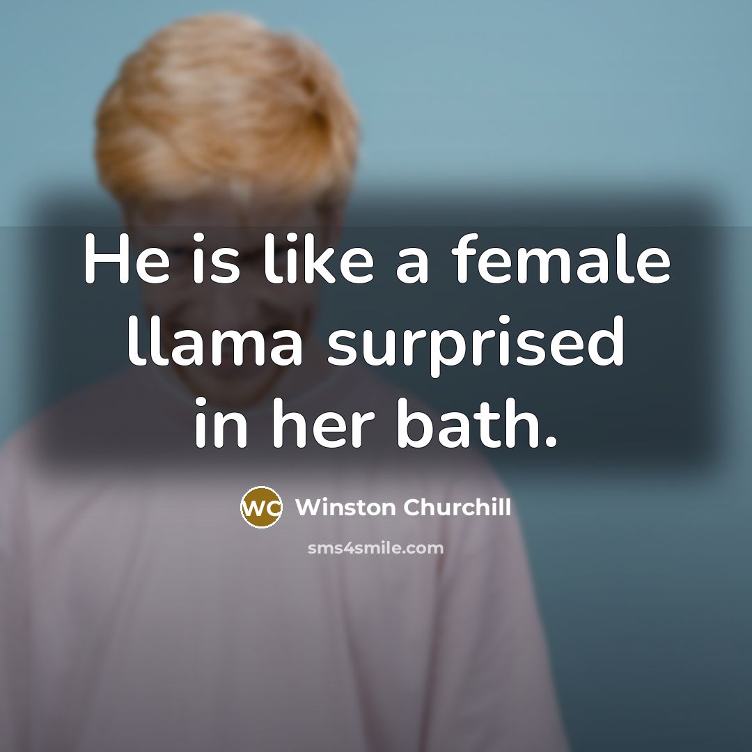 “He is like a female llama surprised in her bath.…” quote by Winston Churchill