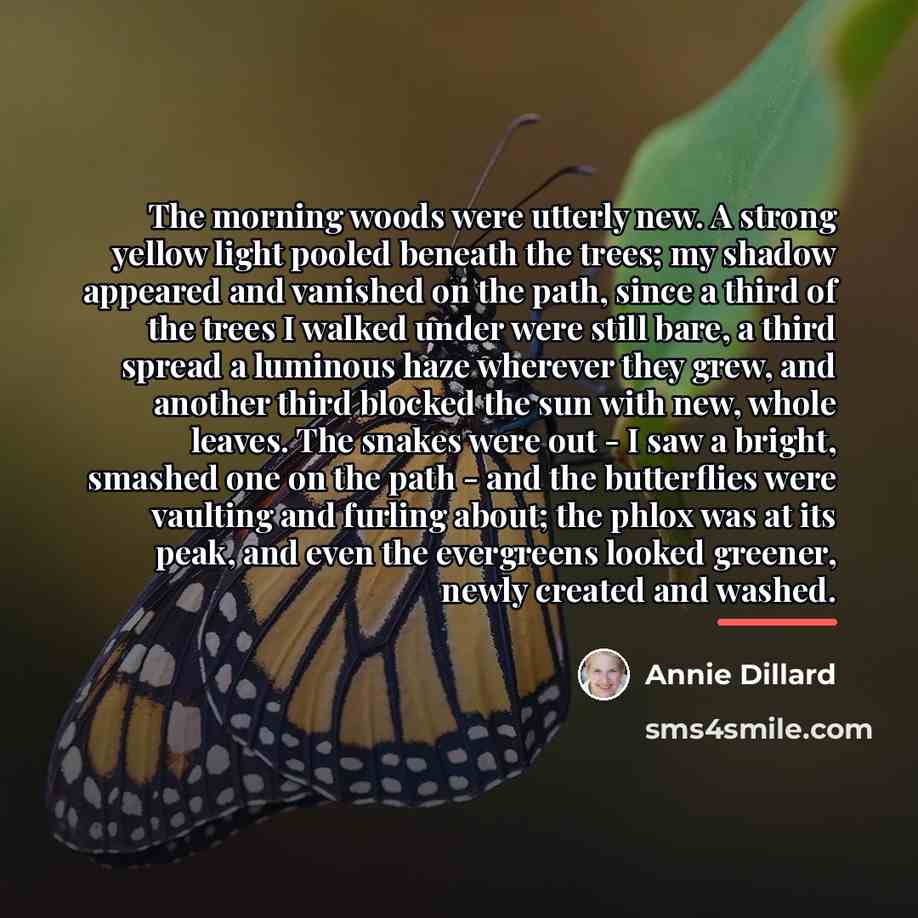 “The morning woods were utterly new. A strong yellow light…” quote by Annie Dillard