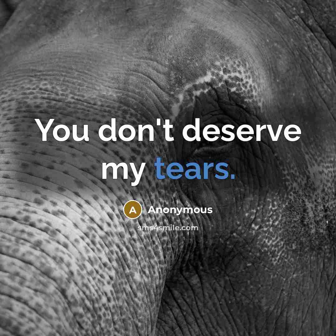 “You don't deserve my tears.…” quote by Anonymous