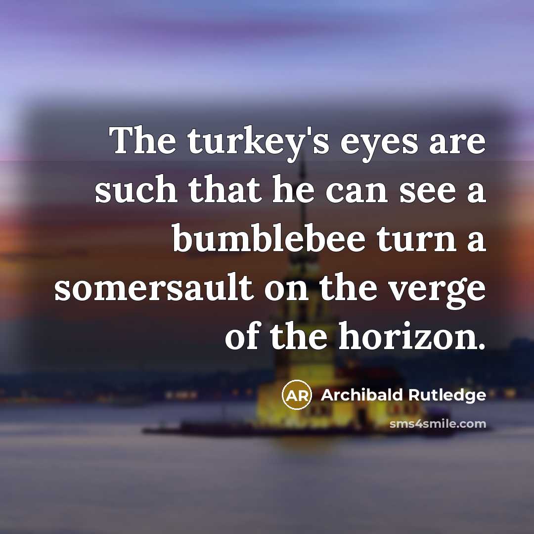 “The turkey's eyes are such that he can see a…” quote by Archibald Rutledge