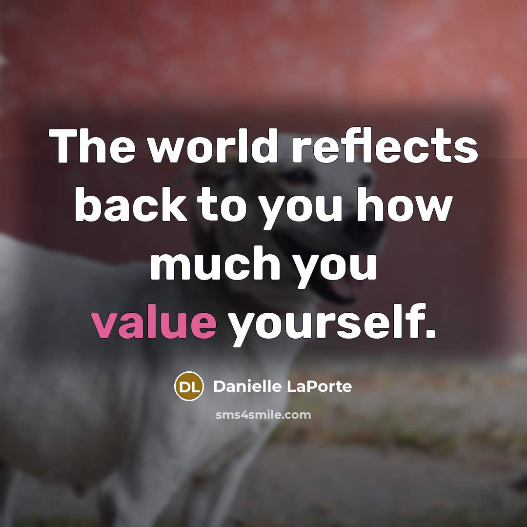 “The world reflects back to you how much you value…” quote by Danielle LaPorte