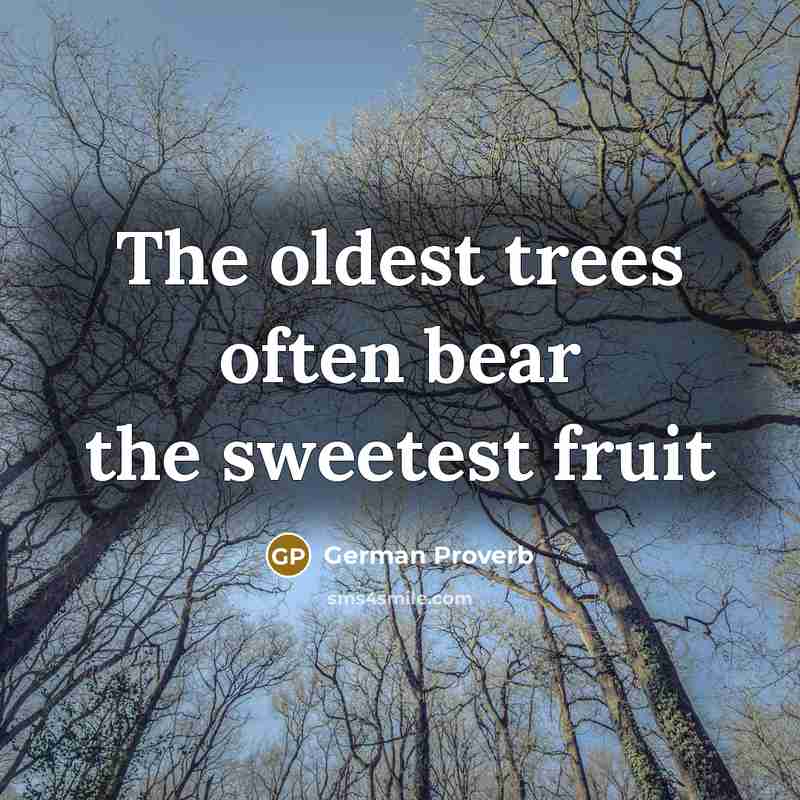 “The oldest trees often bear the sweetest fruit…” quote by German Proverb