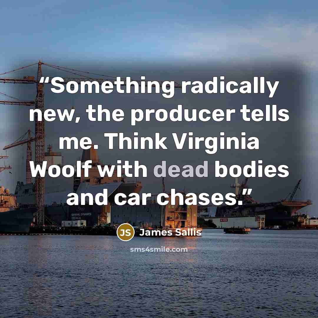 “Something radically new, the producer tells me. Think Virginia Woolf with dead bodies and car chases.” quote by James Sallis