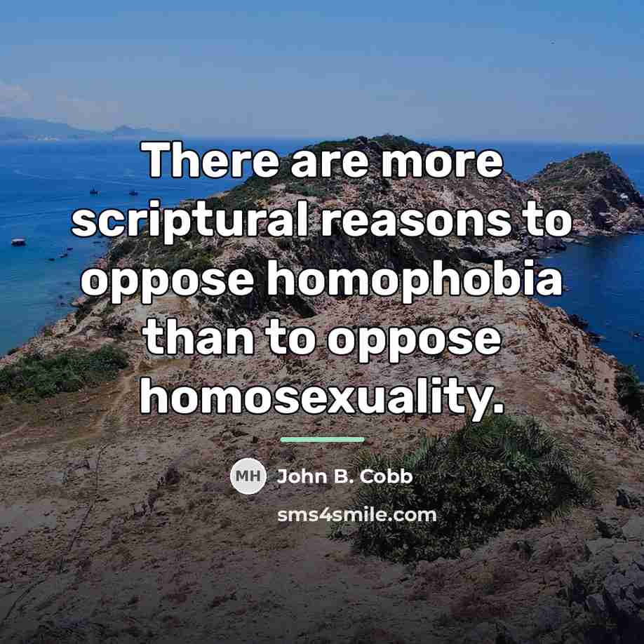 “There are more scriptural reasons to oppose homophobia than to…” quote by John B. Cobb