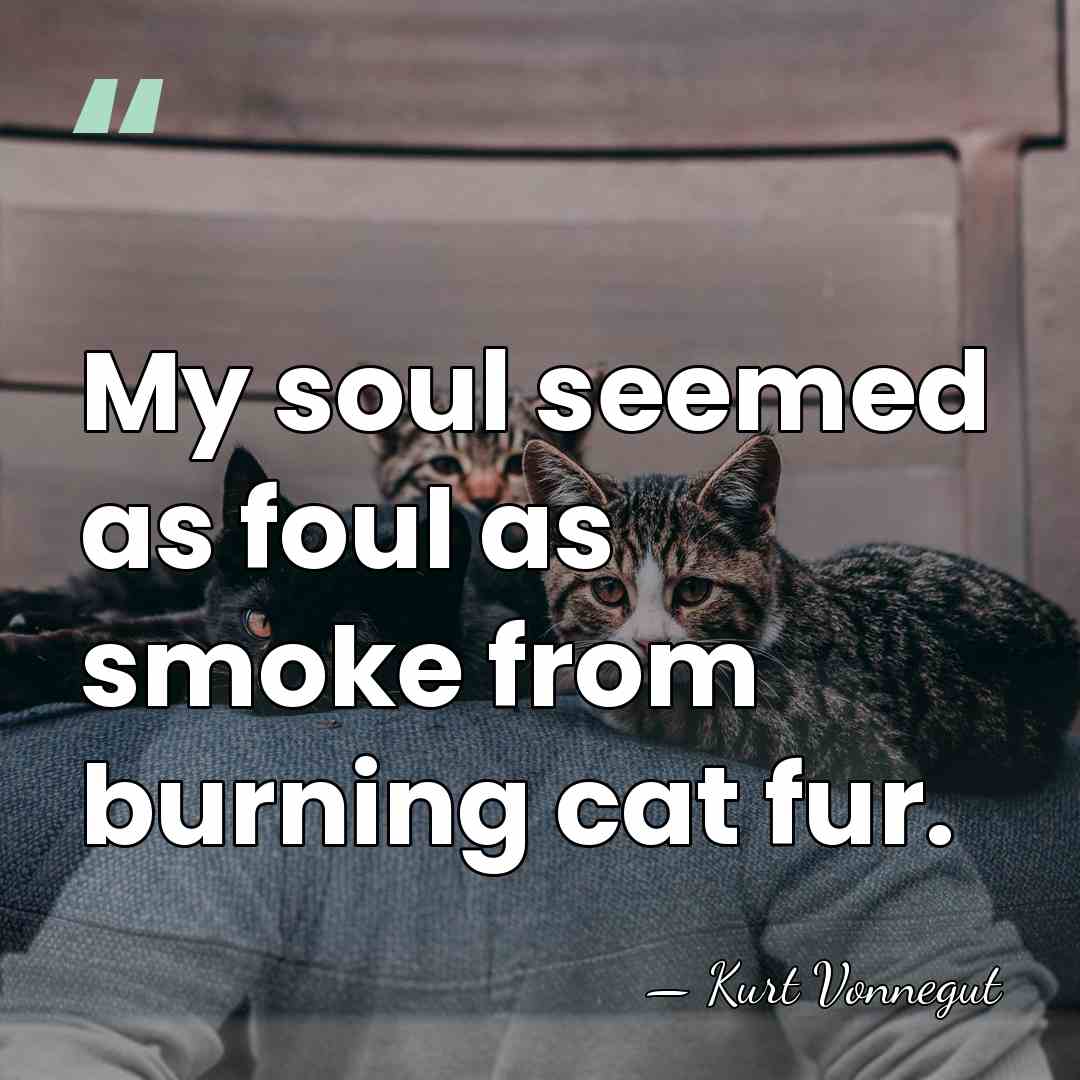 My soul seemed as foul as smoke from burning cat fur. - Kurt Vonnegut