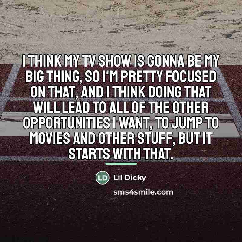 “I think my TV show is gonna be my big…” quote by Lil Dicky