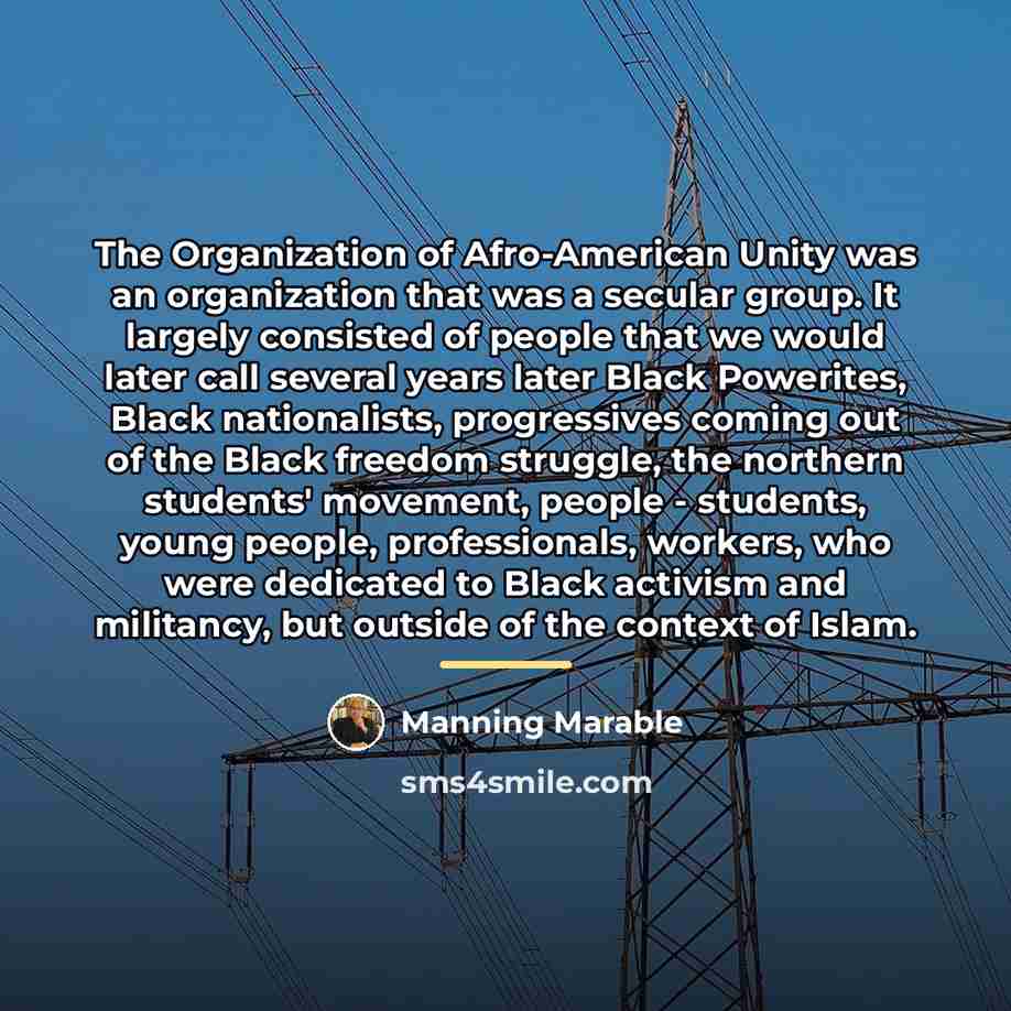 “The Organization of Afro-American Unity was an organization that was…” quote by Manning Marable