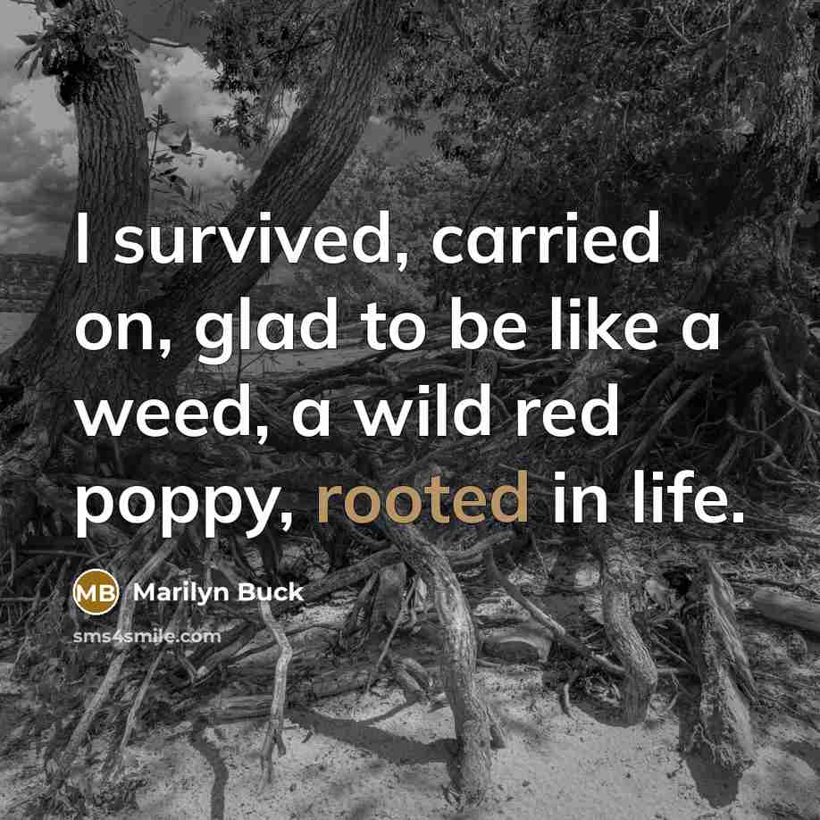 “I survived, carried on, glad to be like a weed, a wild red poppy, rooted in life.” quote by Marilyn Buck