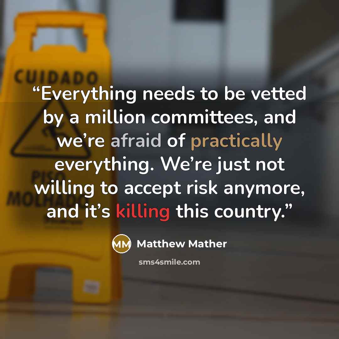 “Everything needs to be vetted by a million committees, and we’re afraid of practically everything. We’re just not willing to accept risk anymore, and it’s killing this country.” quote by Matthew Mather