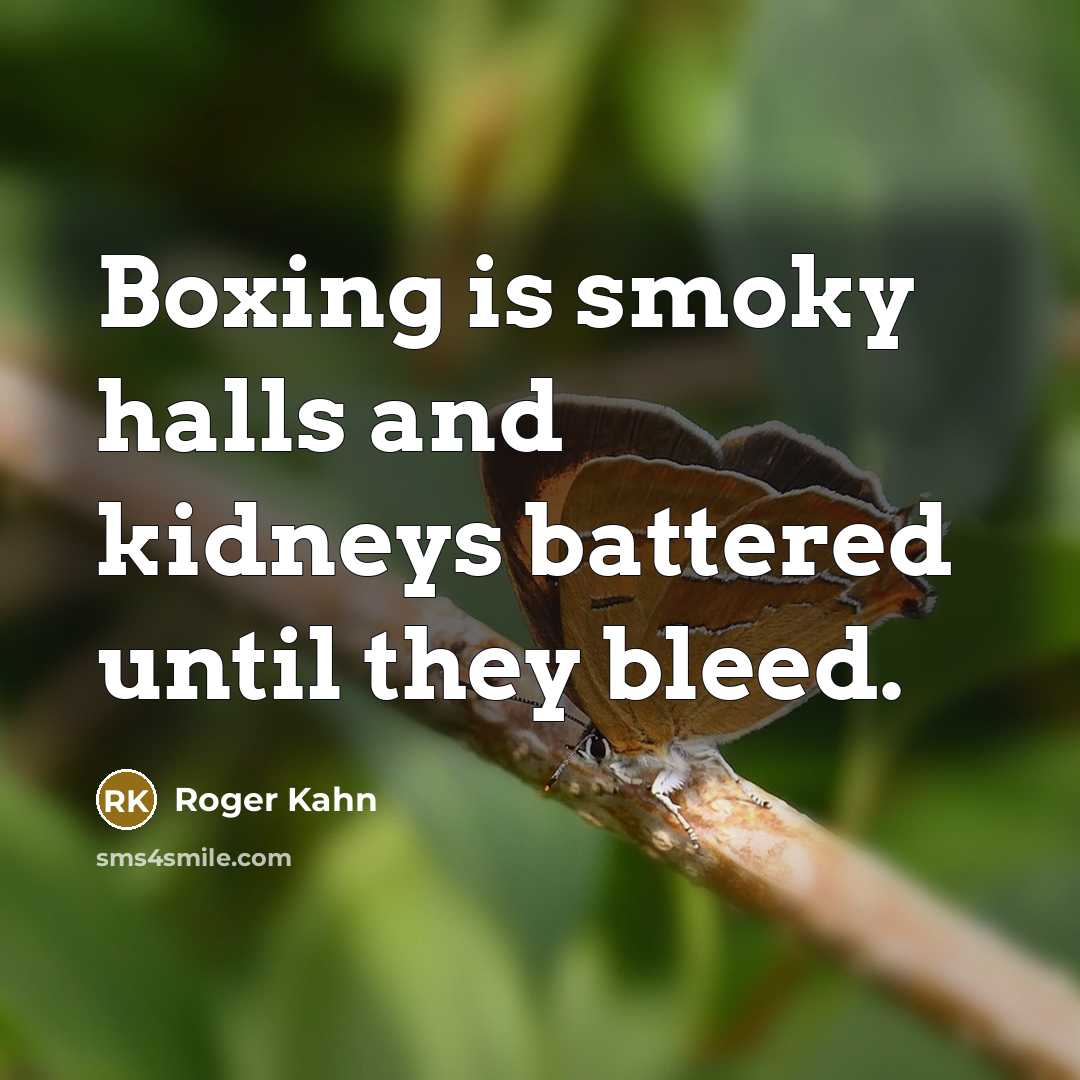 “Boxing is smoky halls and kidneys battered until they bleed.” quote by Roger Kahn