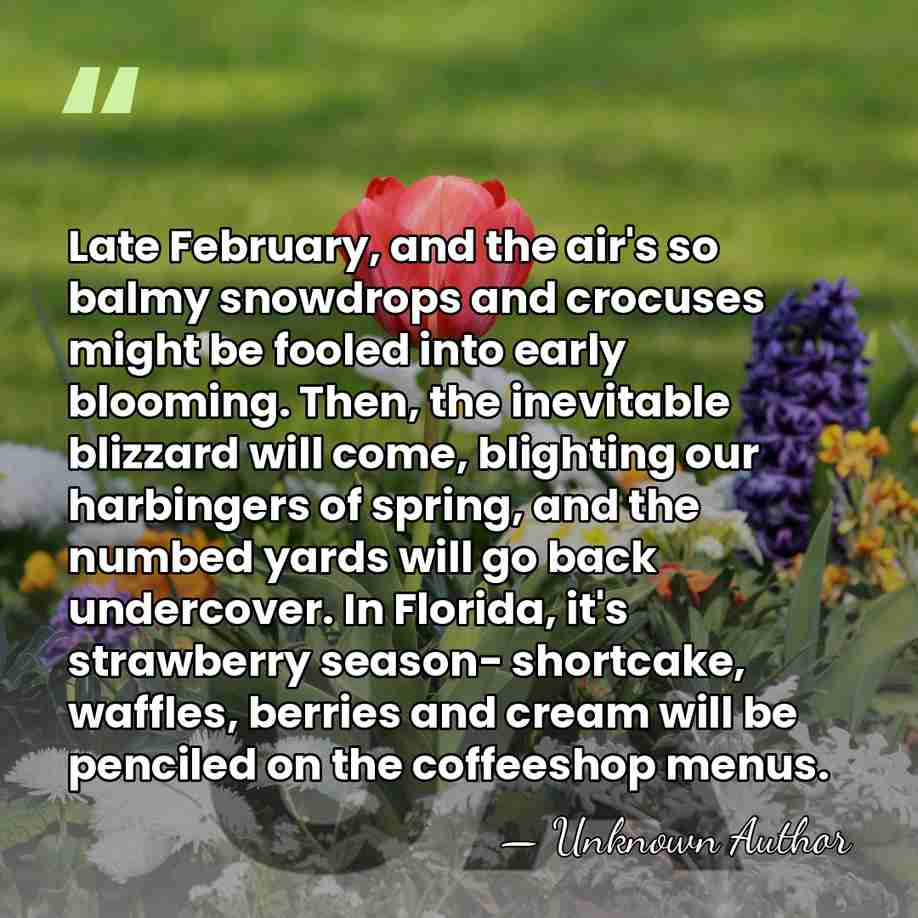Late February, and the air's so balmy snowdrops and crocuses might be&hellip; - Unknown Author