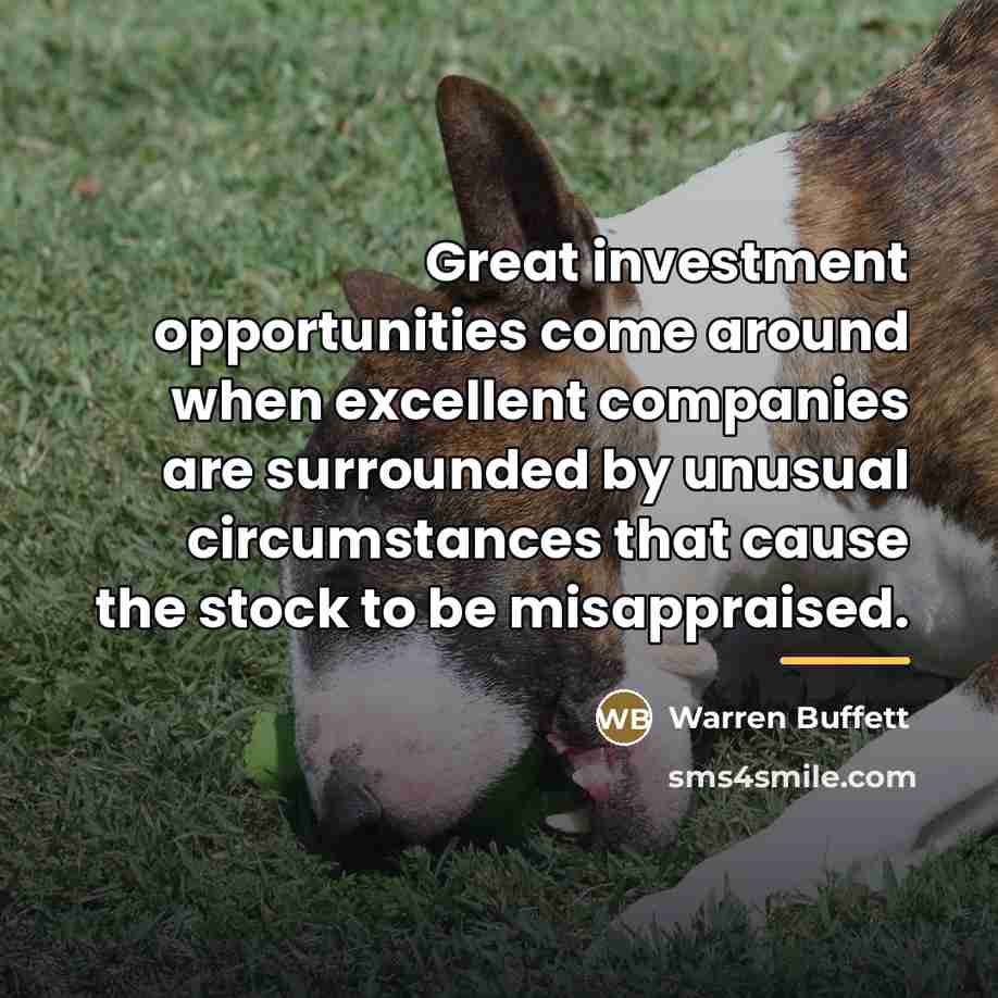 “Great investment opportunities come around when excellent companies are surrounded…” quote by Warren Buffett