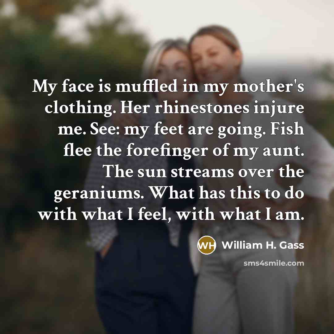 “My face is muffled in my mother's clothing. Her rhinestones…” quote by William H. Gass