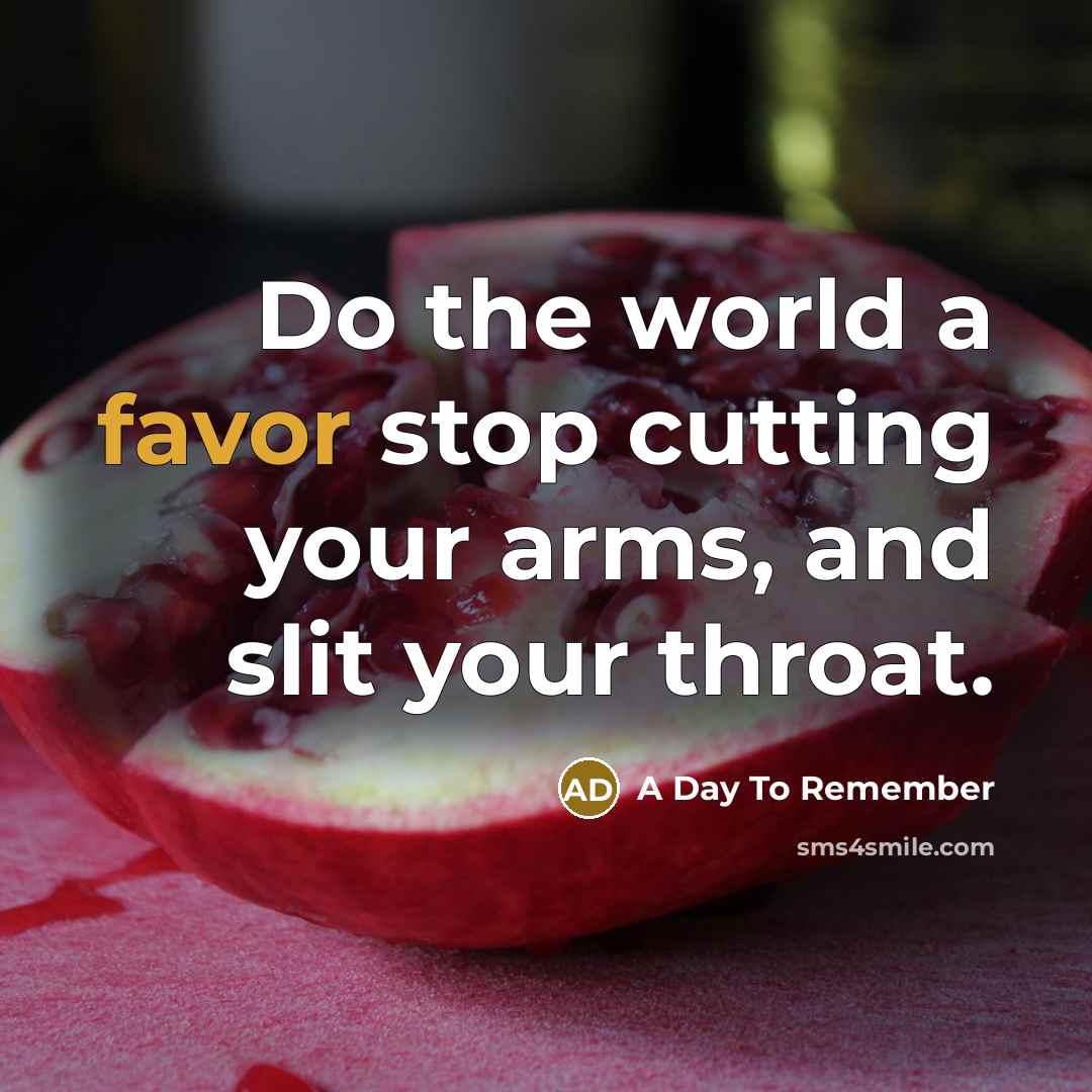 “Do the world a favor stop cutting your arms, and slit your throat.” quote by A Day To Remember