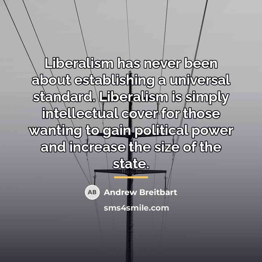 “Liberalism has never been about establishing a universal standard. Liberalism…” quote by Andrew Breitbart