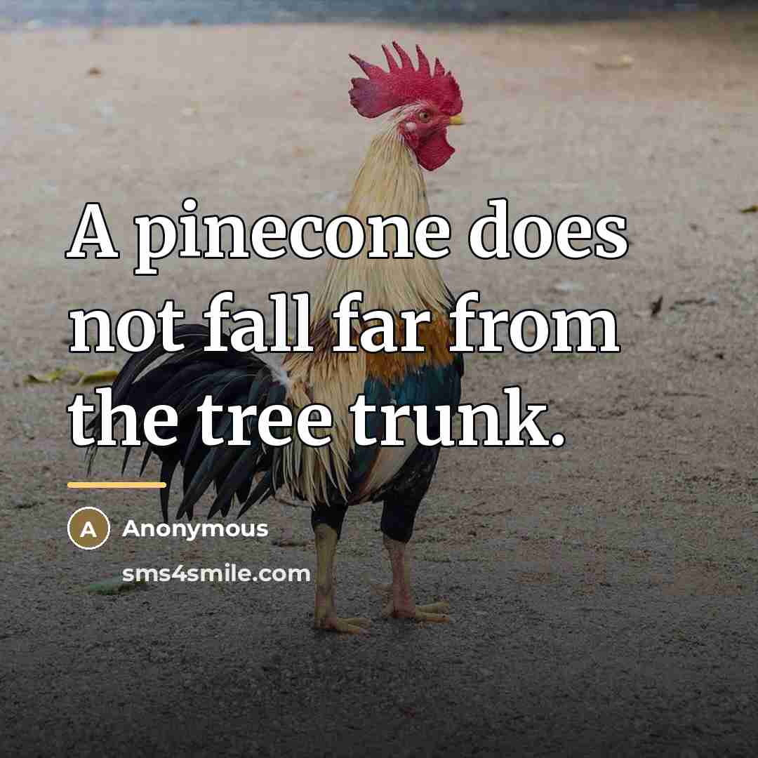 “A pinecone does not fall far from the tree trunk.…” quote by Anonymous