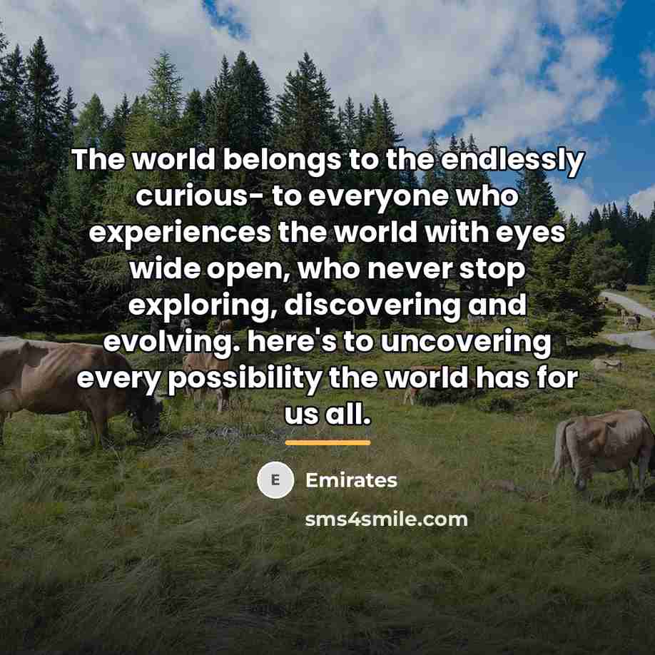 “The world belongs to the endlessly curious- to everyone who…” quote by Emirates
