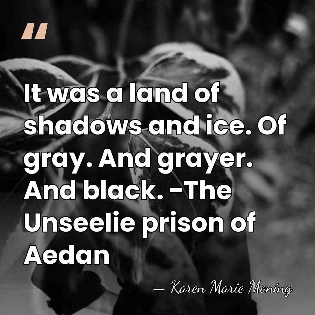 It was a land of shadows and ice. Of gray. And grayer.&hellip; - Karen Marie Moning