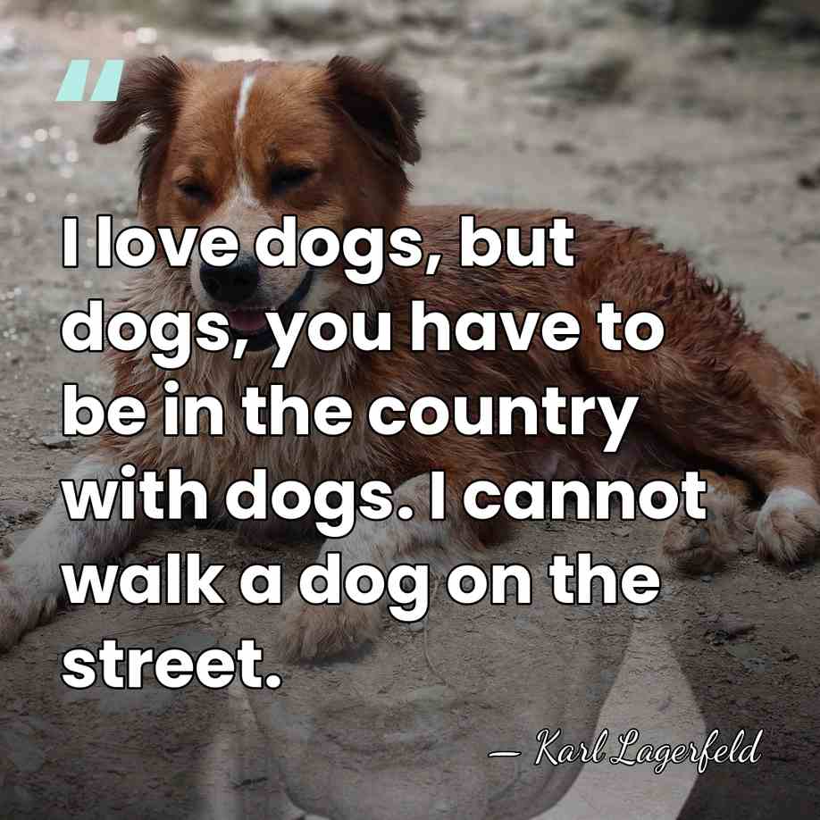 I love dogs, but dogs, you have to be in the country&hellip; - Karl Lagerfeld