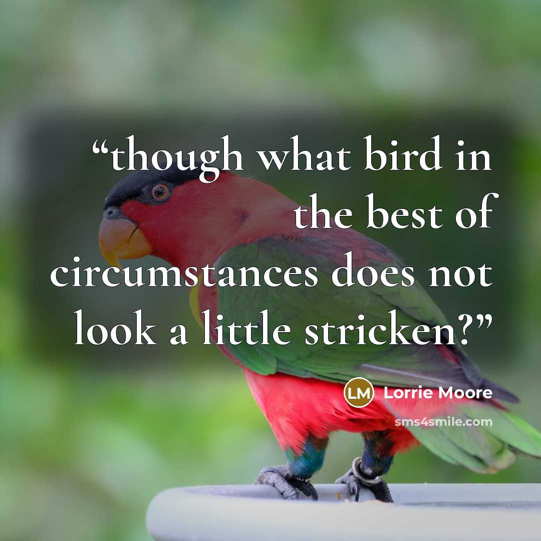 “though what bird in the best of circumstances does not look a little stricken?” quote by Lorrie Moore