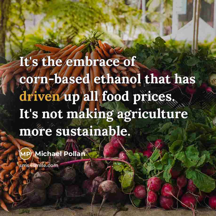 “It's the embrace of corn-based ethanol that has driven up…” quote by Michael Pollan