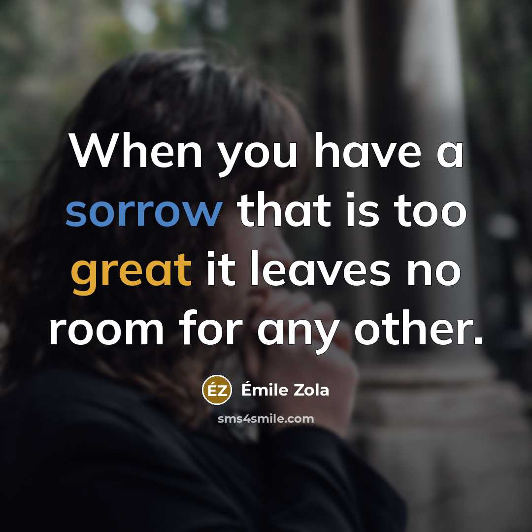 “When you have a sorrow that is too great it…” quote by Emile Zola