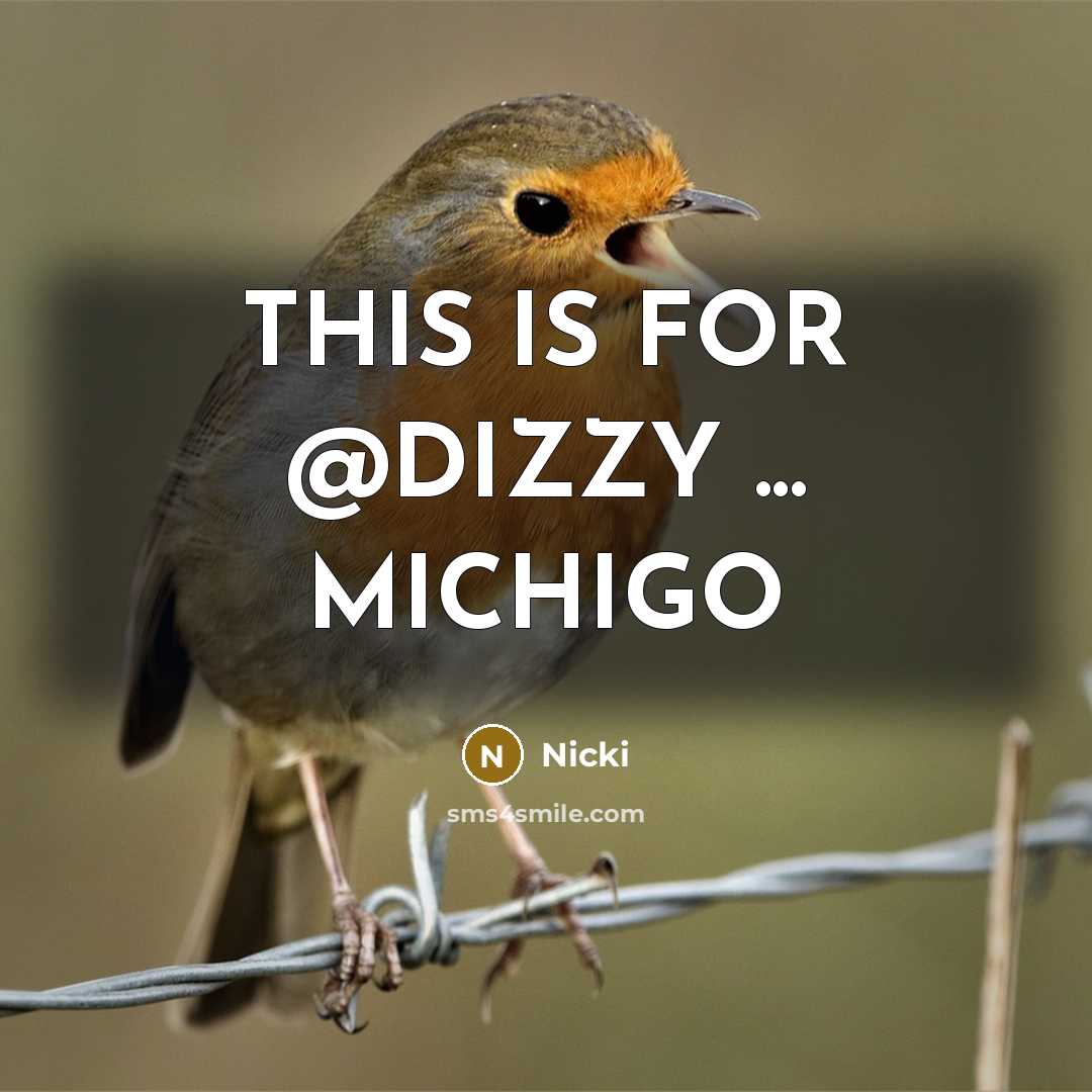 “THIS IS FOR @DIZZY ... MICHIGO…” quote by Nicki