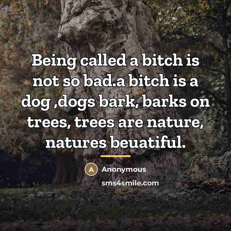 “Being called a bitch is not so bad.a bitch is…” quote by Anonymous