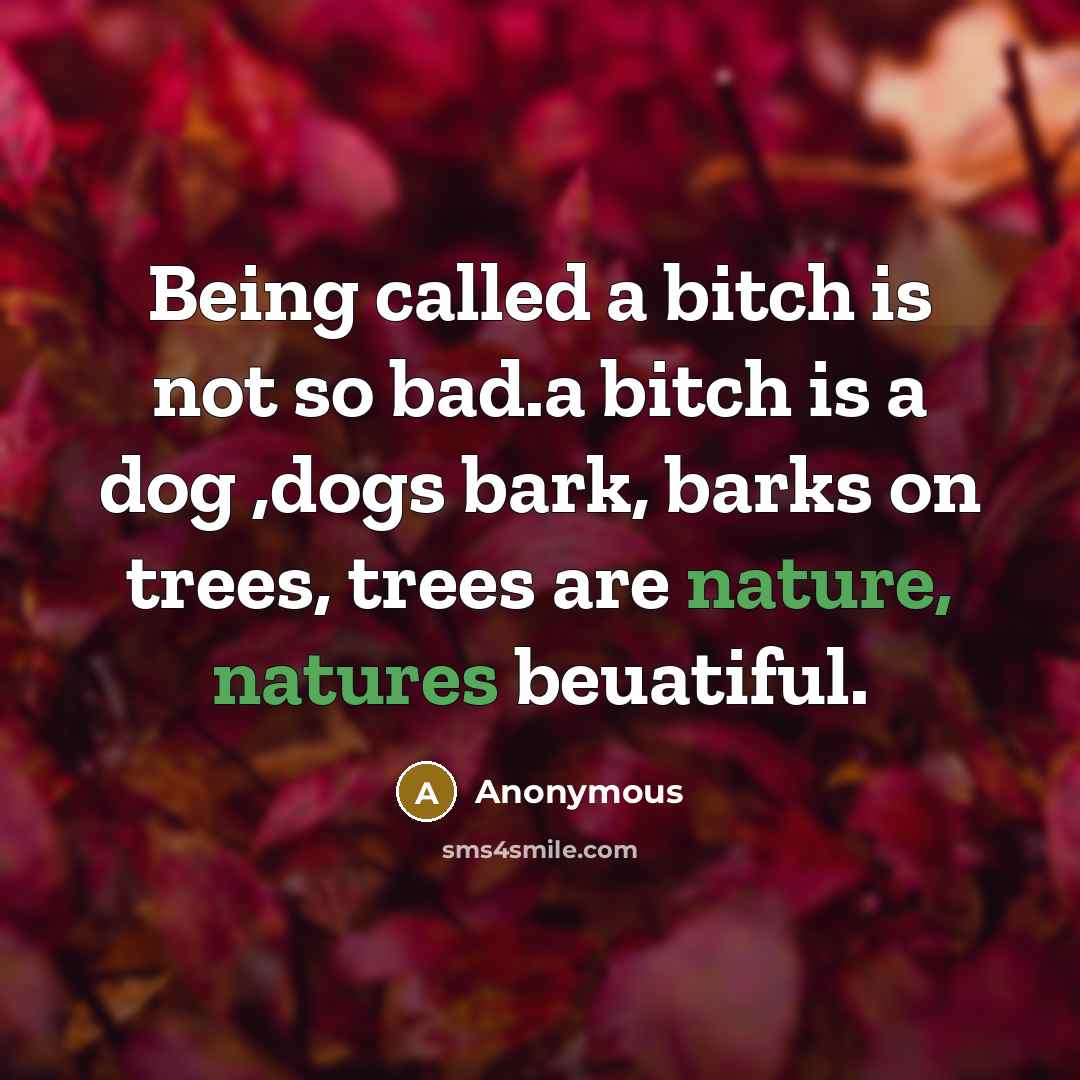“Being called a bitch is not so bad.a bitch is a dog ,dogs bark, barks on trees, trees are nature, natures beuatiful.” quote by Anonymous