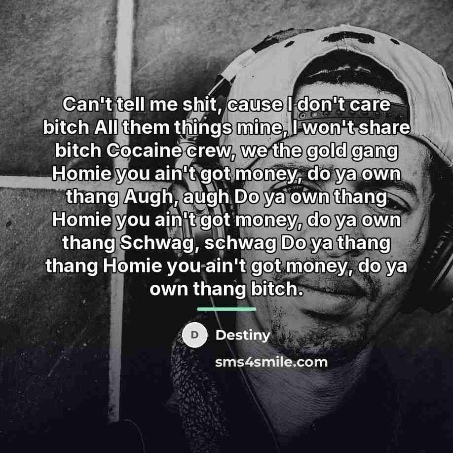 “Can't tell me shit, cause I don't care bitch All…” quote by Destiny