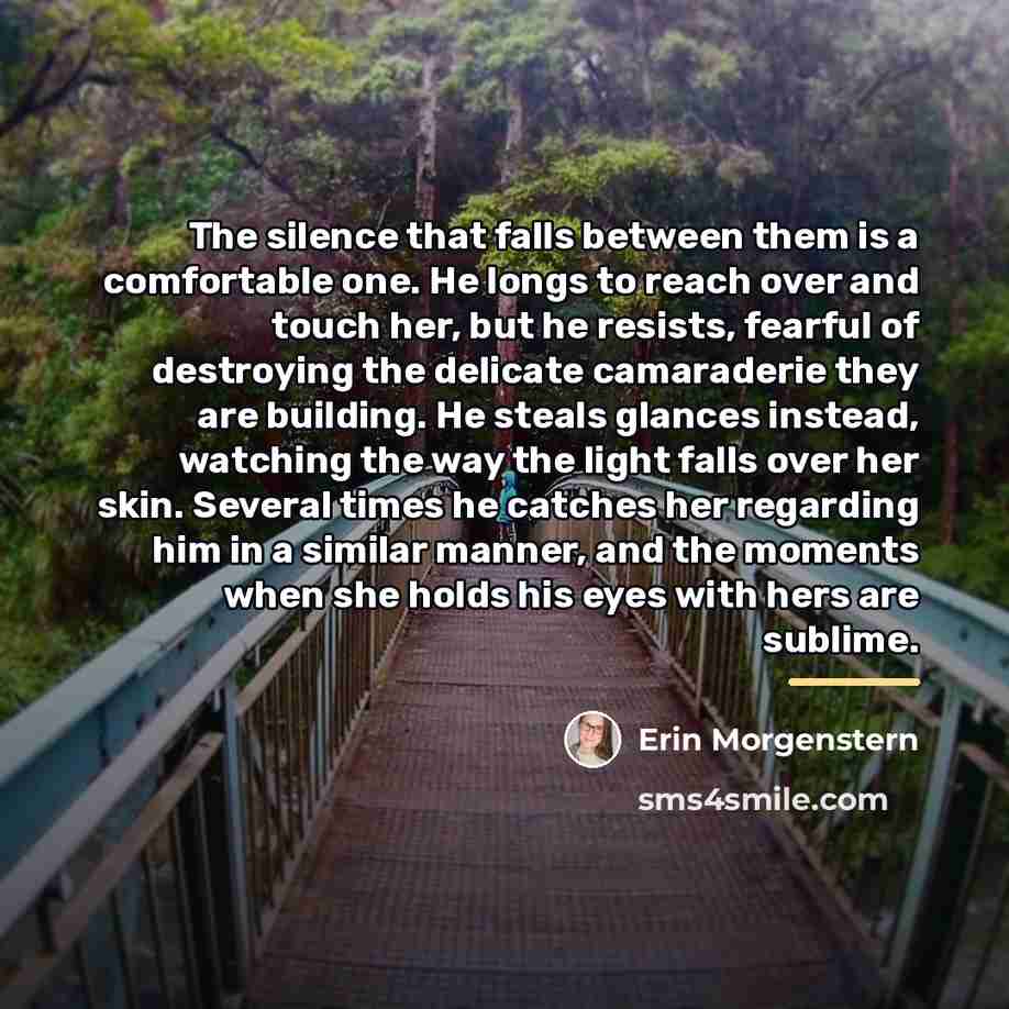 “The silence that falls between them is a comfortable one.…” quote by Erin Morgenstern