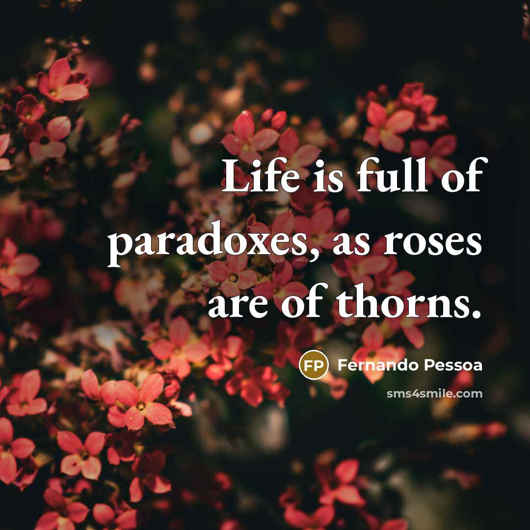 “Life is full of paradoxes, as roses are of thorns.” quote by Fernando Pessoa