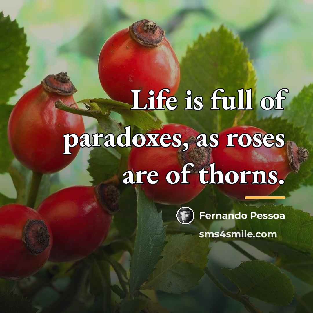 “Life is full of paradoxes, as roses are of thorns.…” quote by Fernando Pessoa