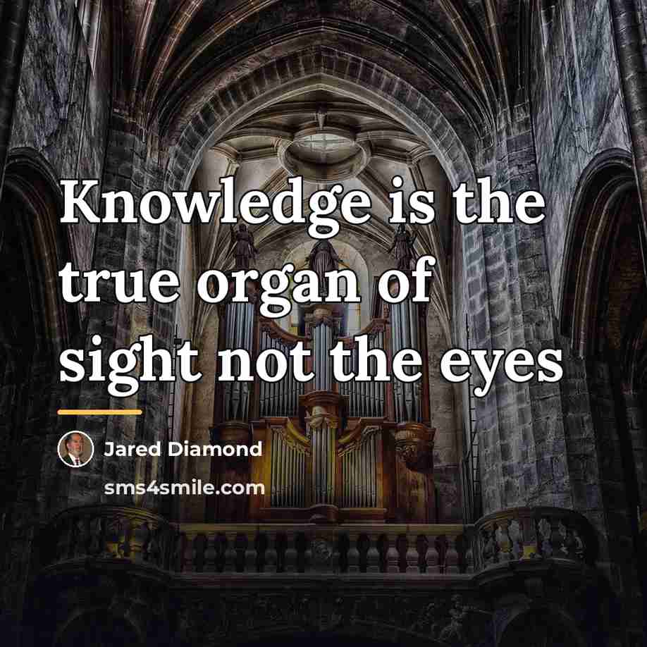 “Knowledge is the true organ of sight not the eyes…” quote by Jared Diamond