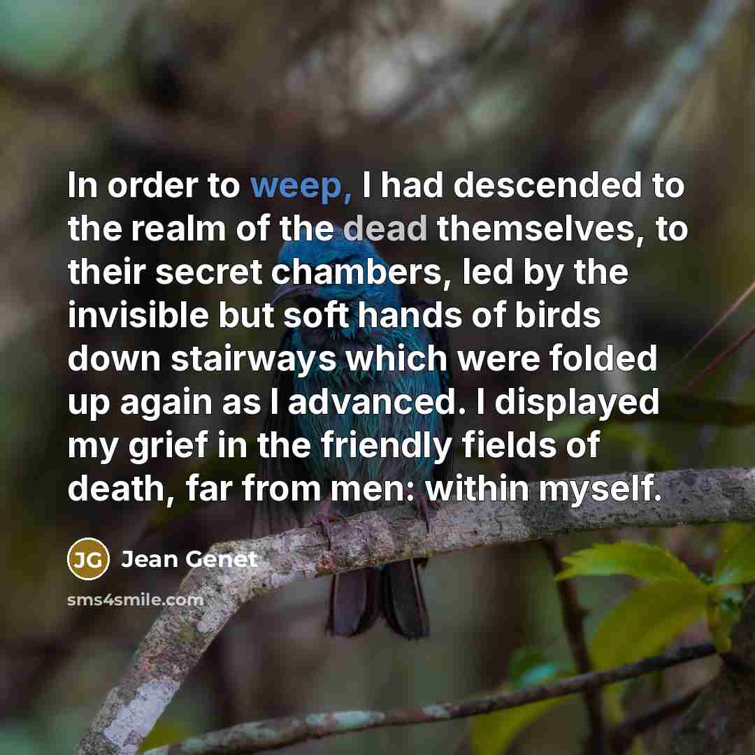 “In order to weep, I had descended to the realm…” quote by Jean Genet