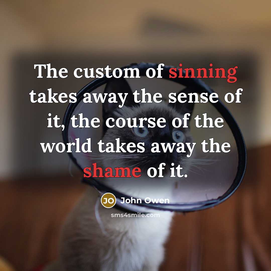 “The custom of sinning takes away the sense of it,…” quote by John Owen