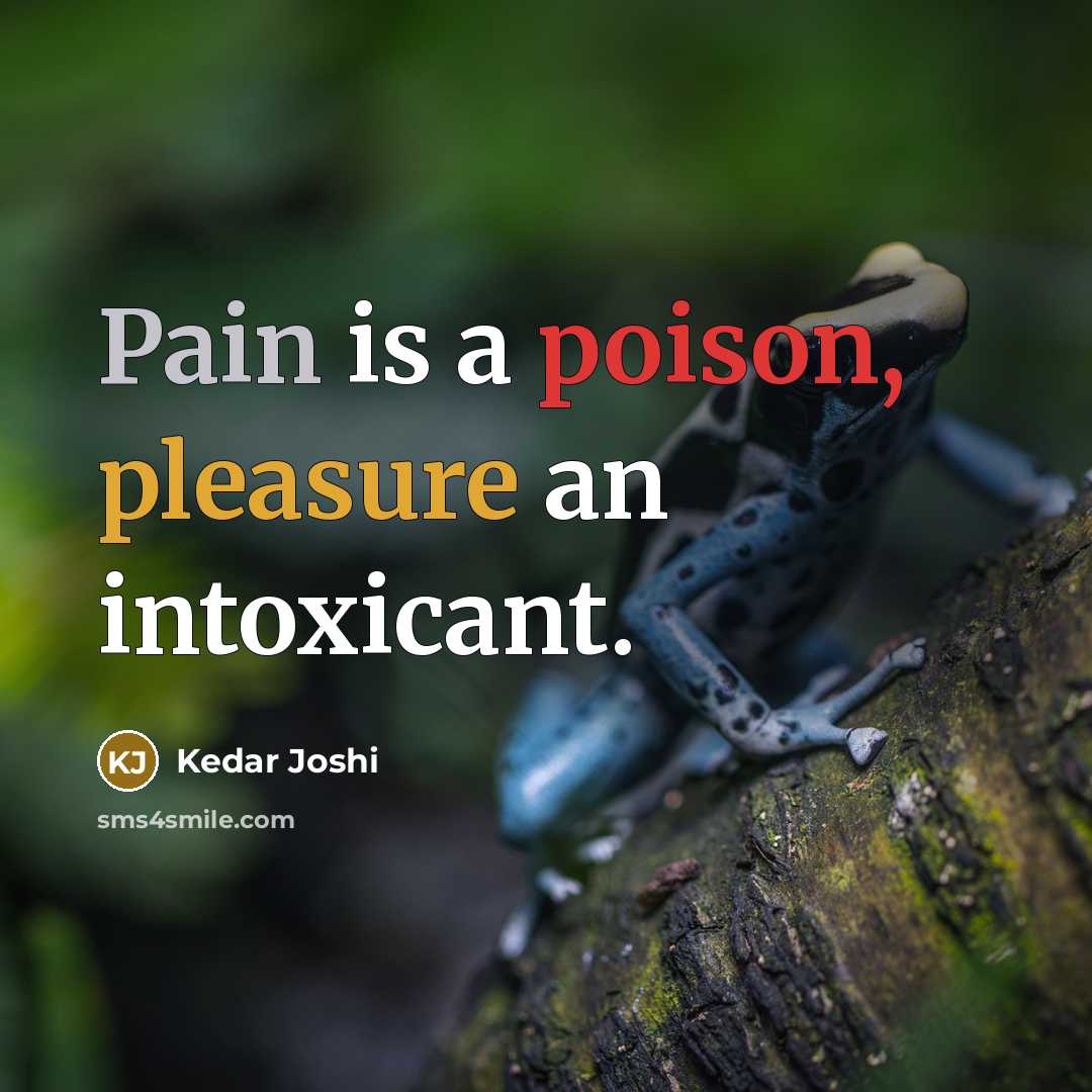 “Pain is a poison, pleasure an intoxicant.…” quote by Kedar Joshi
